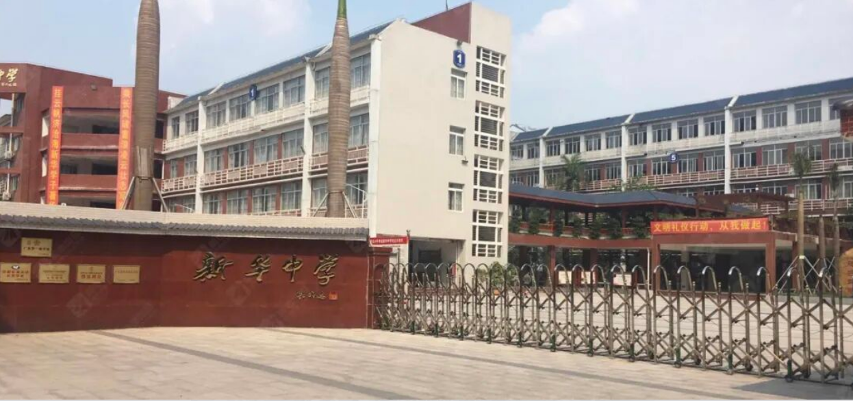 效果图