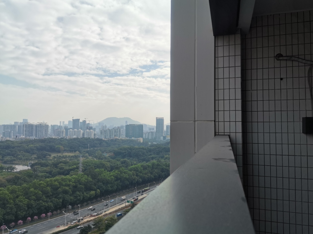 实景图