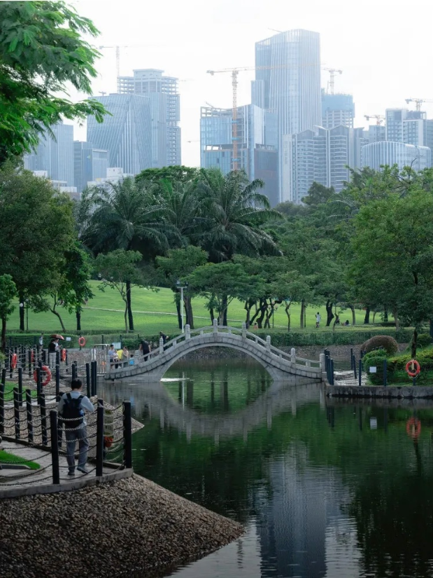 实景图
