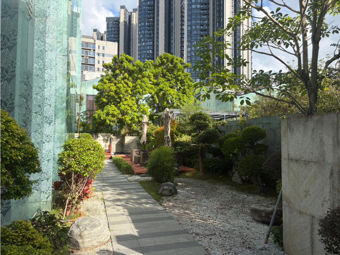 实景图
