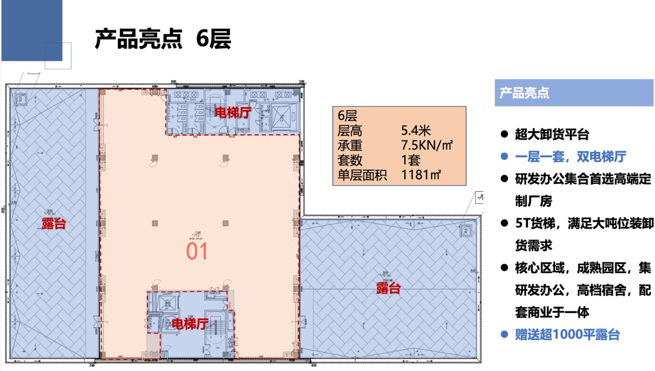 效果图
