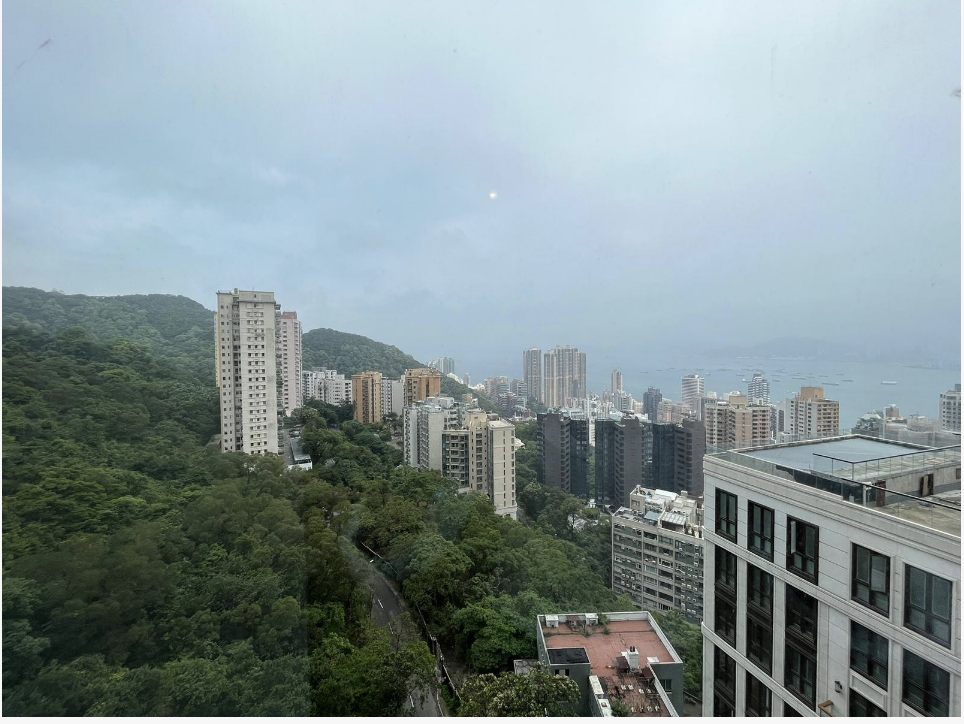 实景图