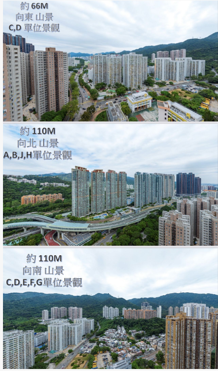 实景图