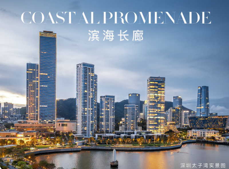 实景图