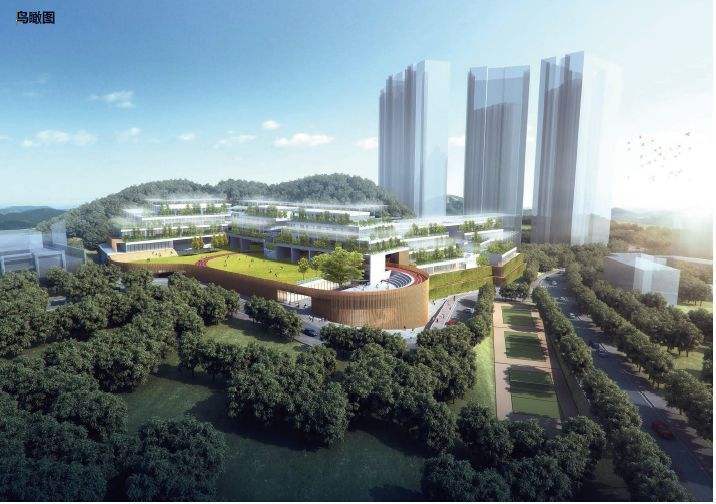 罗湖双地铁口住宅新盘-缙山府 车位不足教育一般要如何冲出重围(图24)