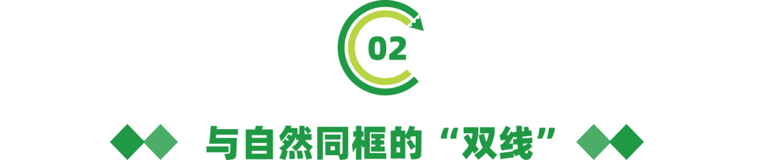 倒计时!地铁2号线三期、8号线一期开通在即,一起去盐田观光吗?(图7)